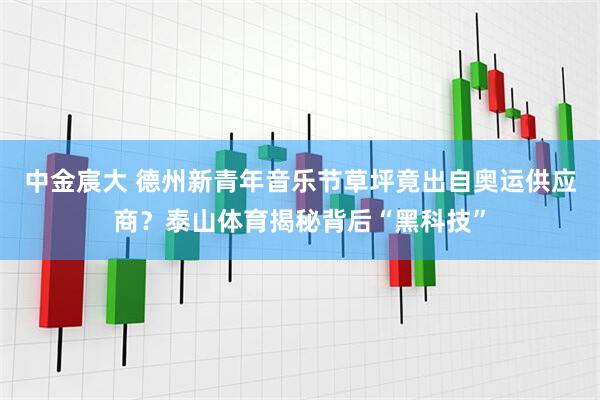 中金宸大 德州新青年音乐节草坪竟出自奥运供应商？泰山体育揭秘背后“黑科技”